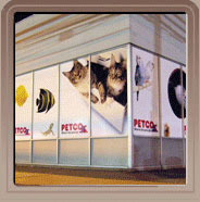 Large Format Printing